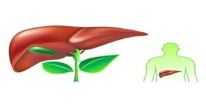 أعراض تعب الكبد